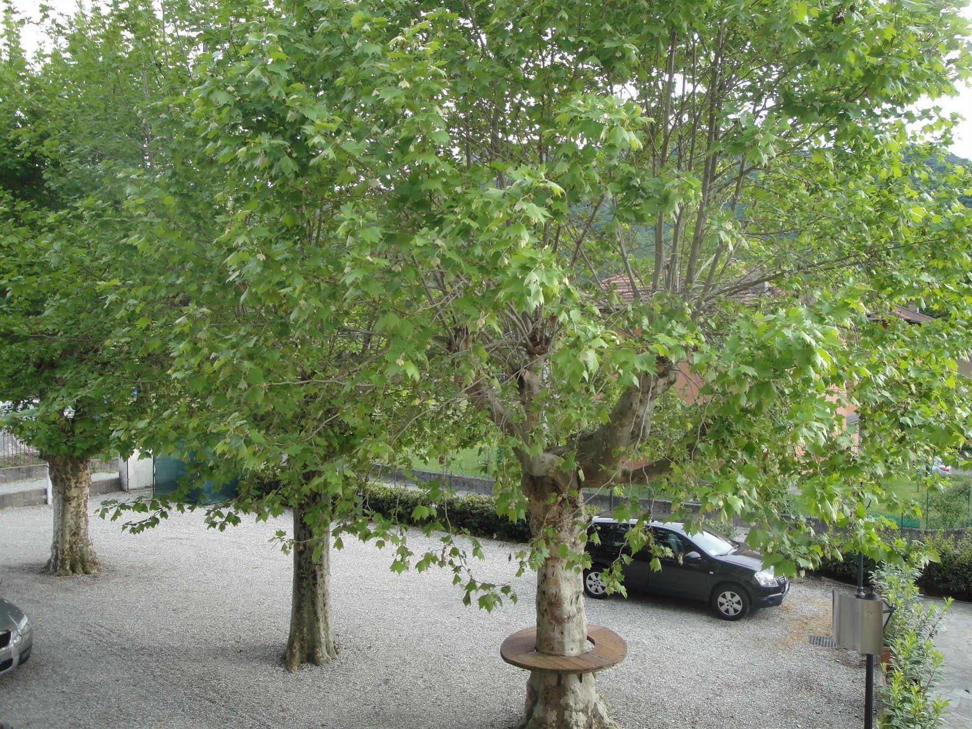 Locanda Del Brinsc Brinzio Exteriör bild